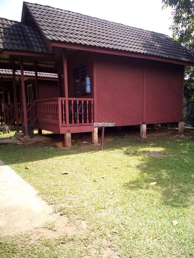 Mahseer Chalet Villa Kuala Tahan Exteriör bild